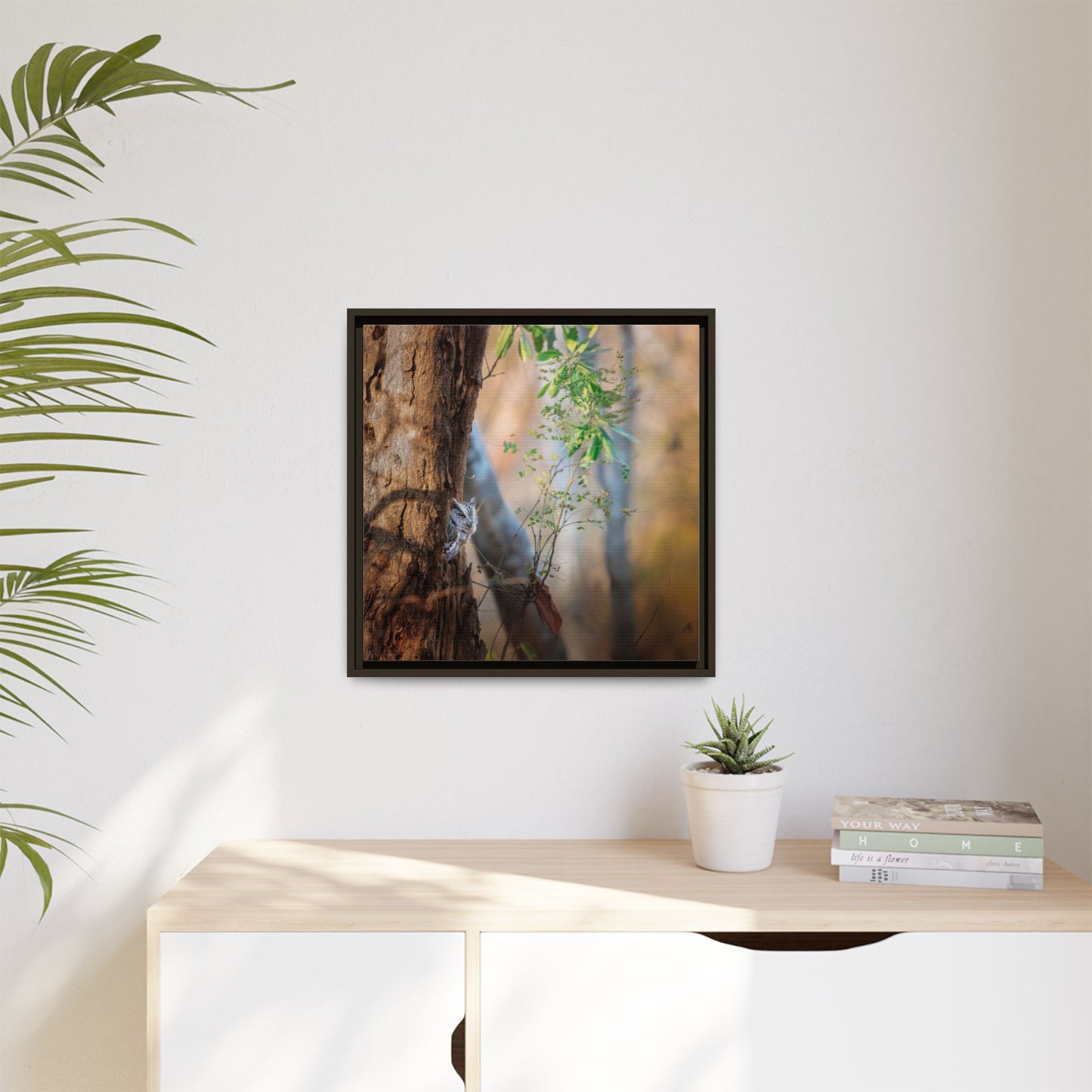 Pacific Screech | Framed Canvas