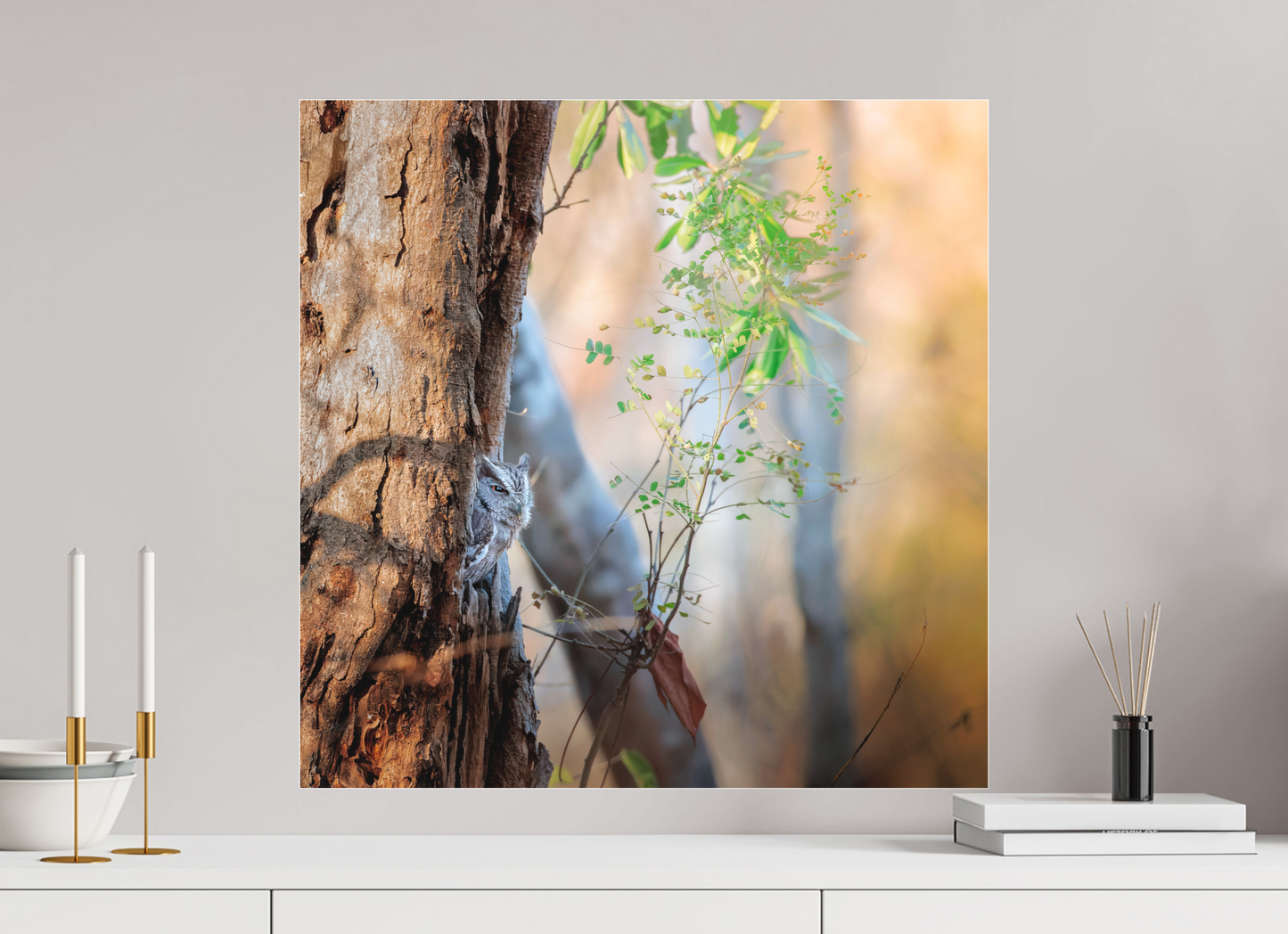 60 x 60 cm, Photo Print Under Acrylic Glass 2 mm, Matte PACIFIC SCREECH