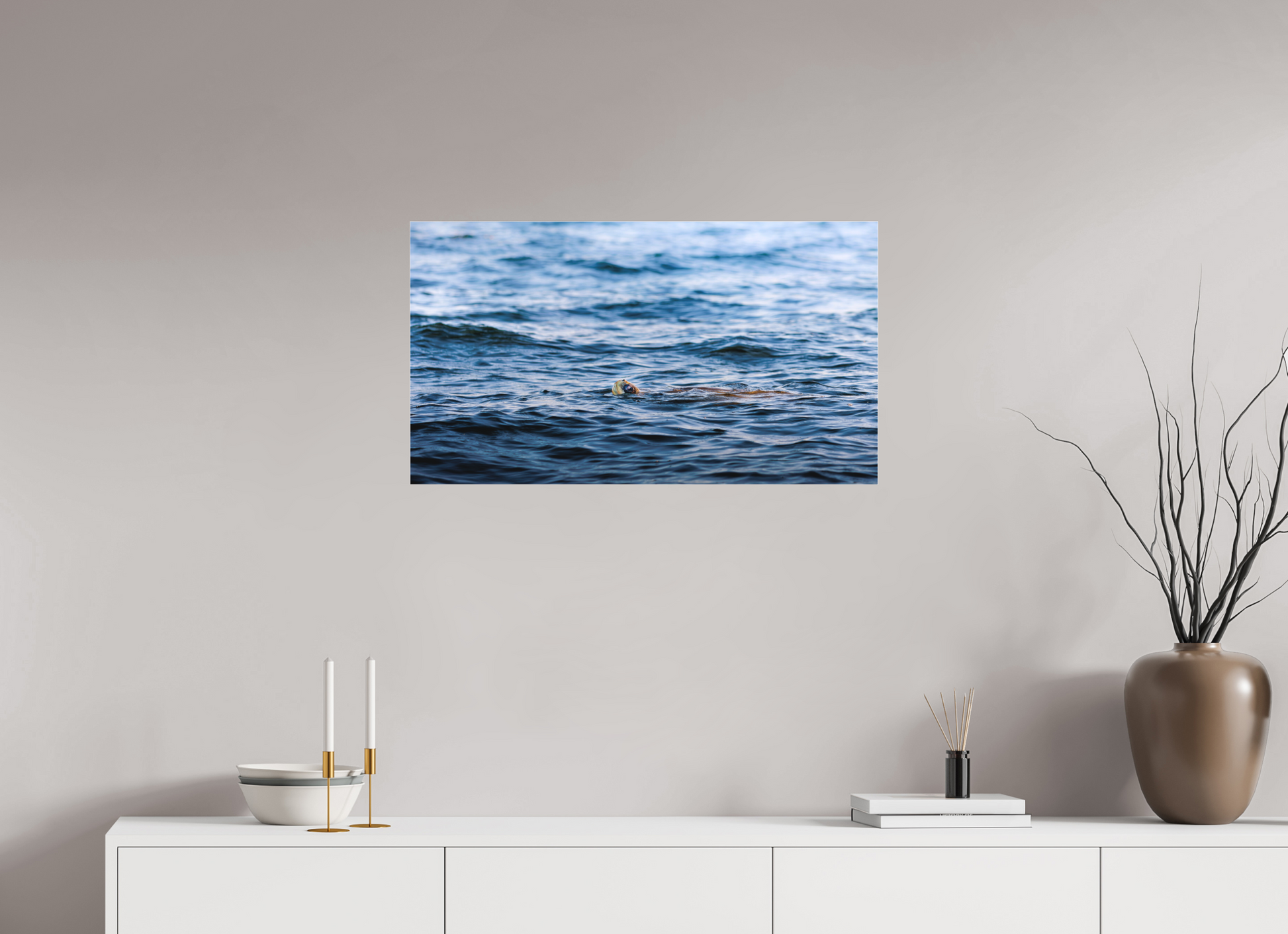 80 x 45 cm, Photo Print Under Acrylic Glass 2 mm, Matte RIDLEY TORTUGA