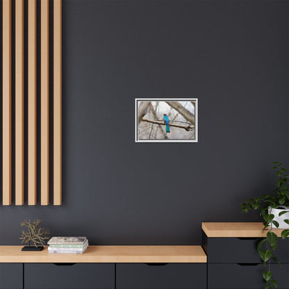 Citrine Trogon | Framed Canvas