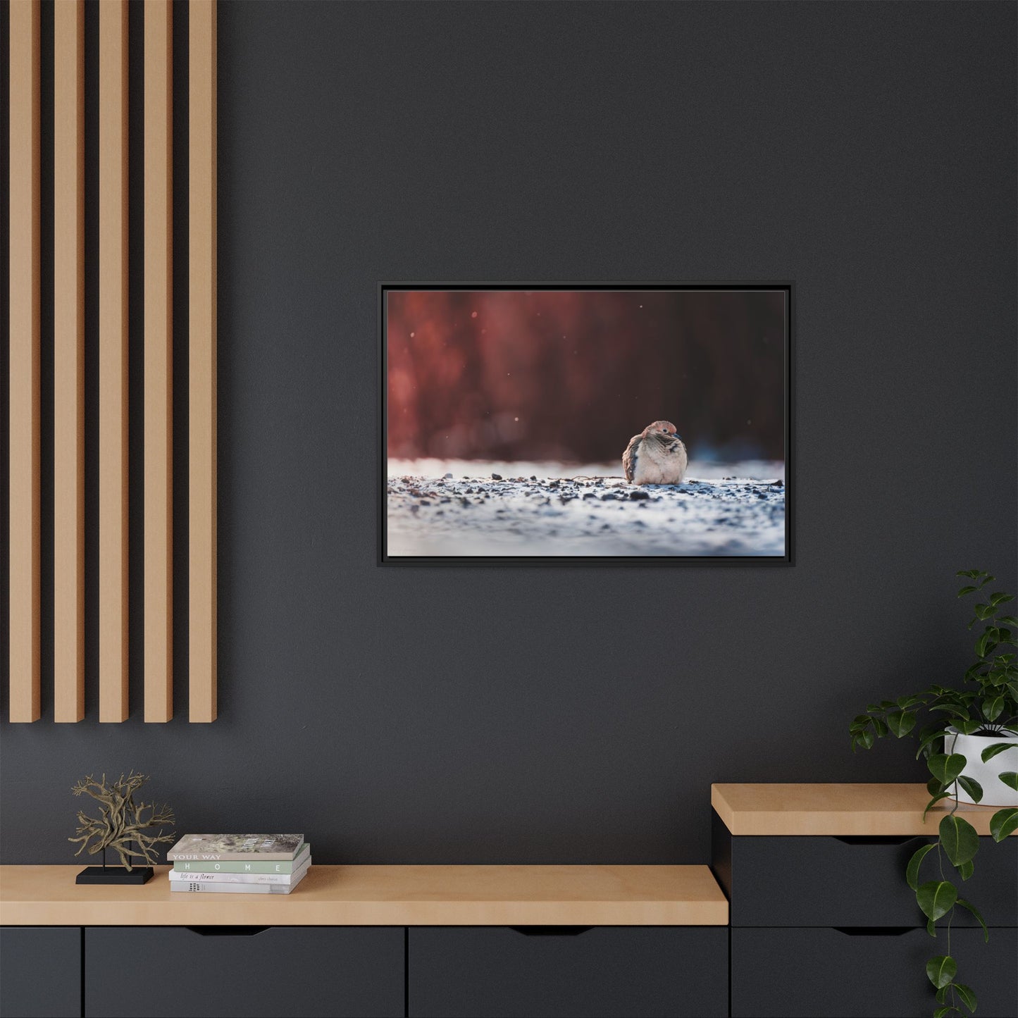 Dove | Framed Canvas