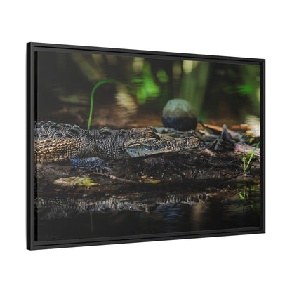 Oaxacroc | Framed Canvas