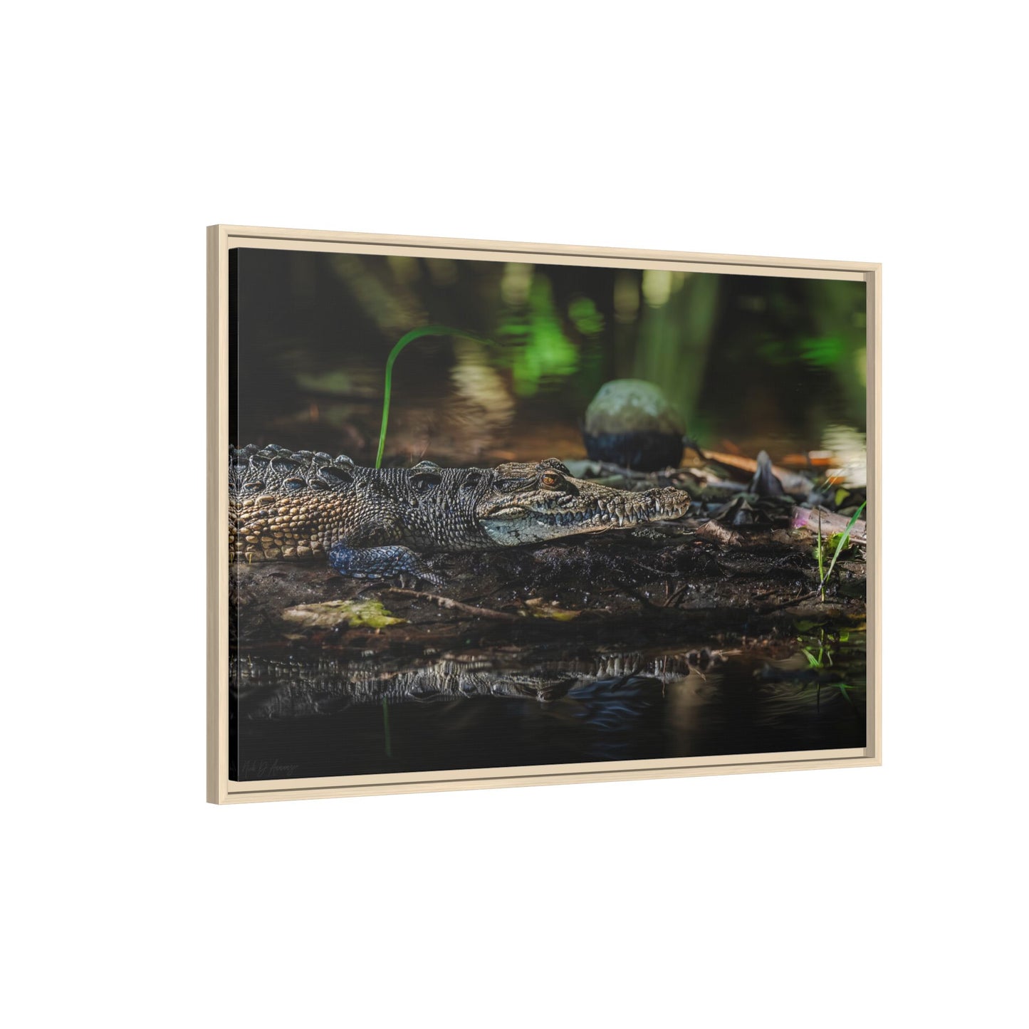 Oaxacroc | Framed Canvas