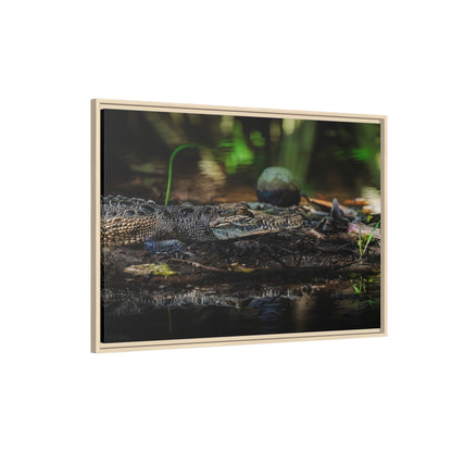 Oaxacroc | Framed Canvas