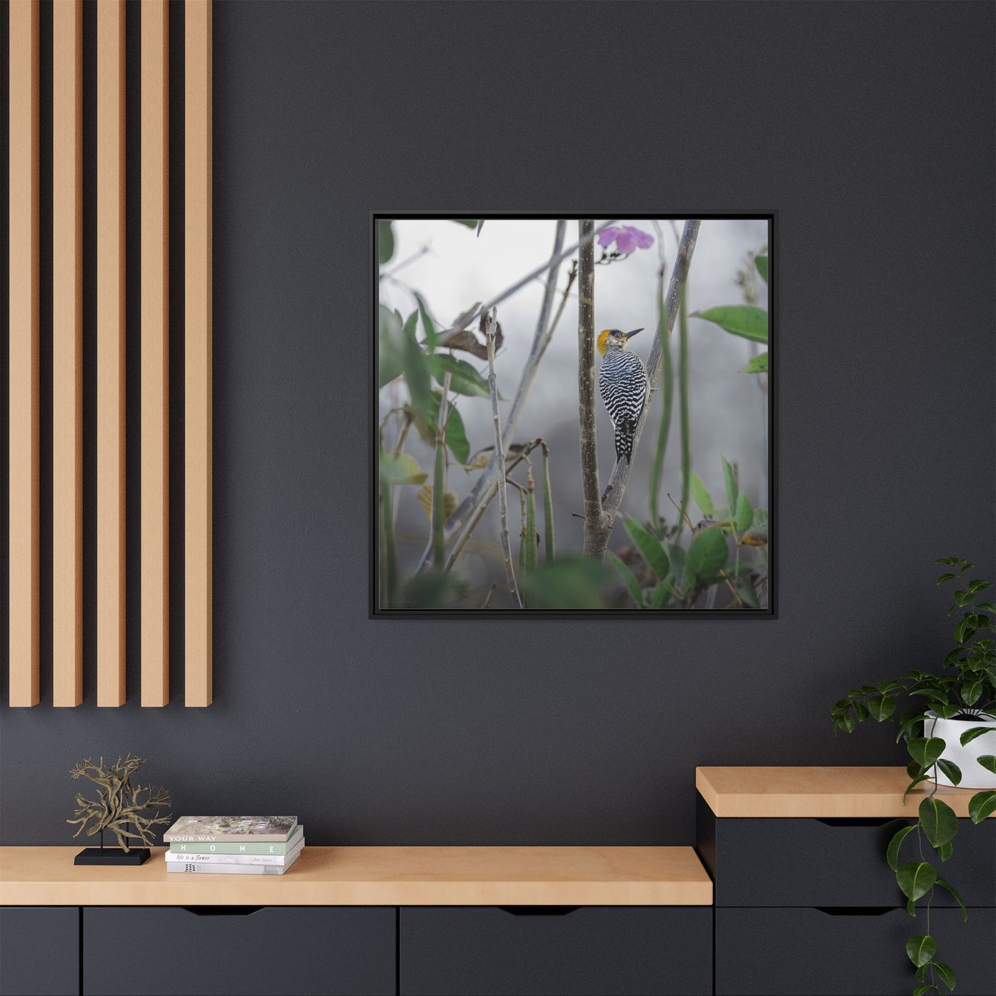 Golden-Cheeked Woodpecker II Framed Canvas Print