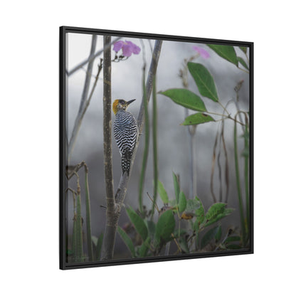 Golden Cheek | Framed Canvas