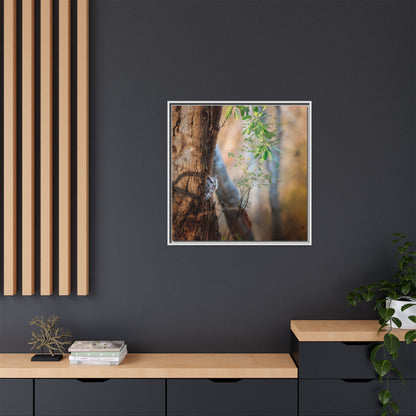Pacific Screech | Framed Canvas