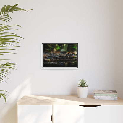 Oaxacroc | Framed Canvas