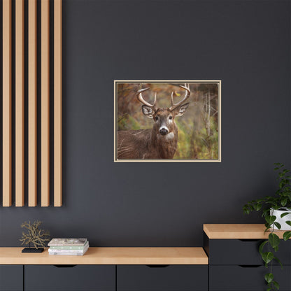 Woodland Buck | Framed Canvas