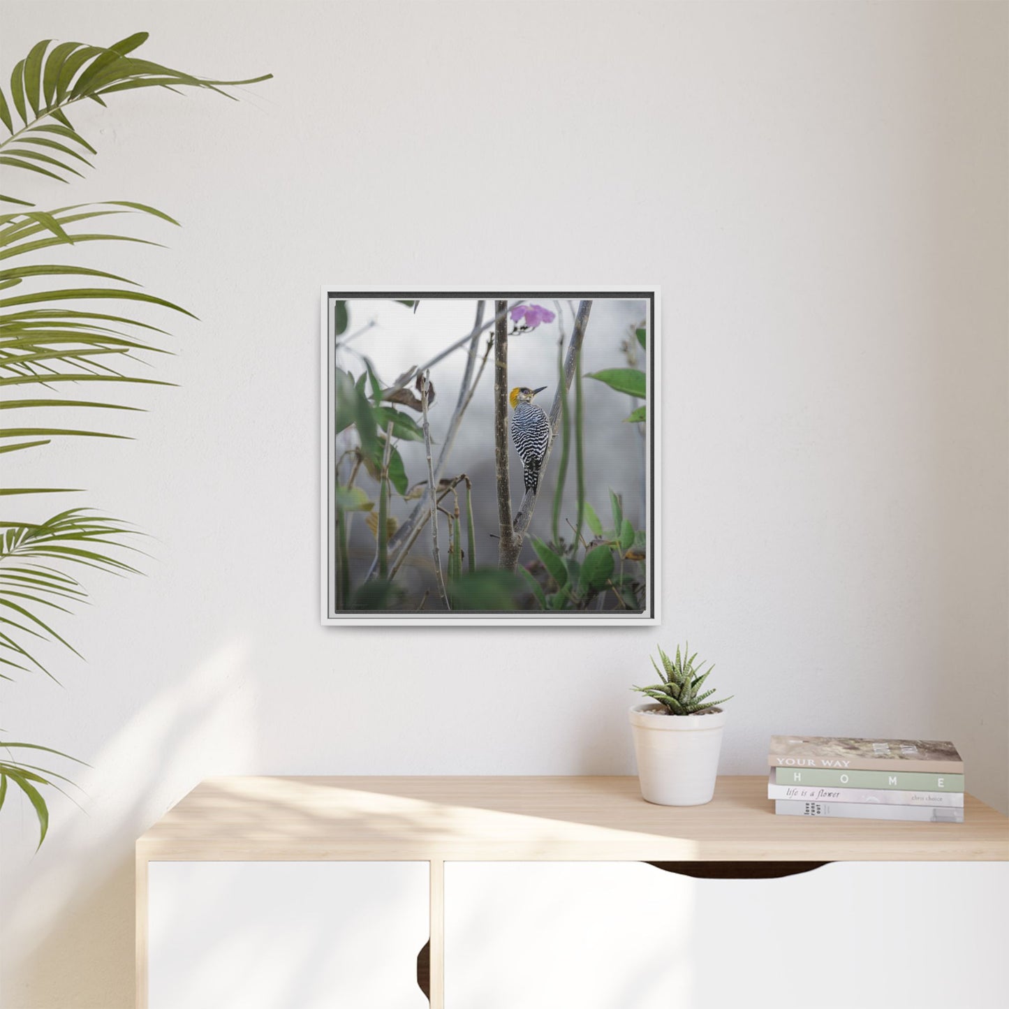 Golden-Cheeked Woodpecker II Framed Canvas Print