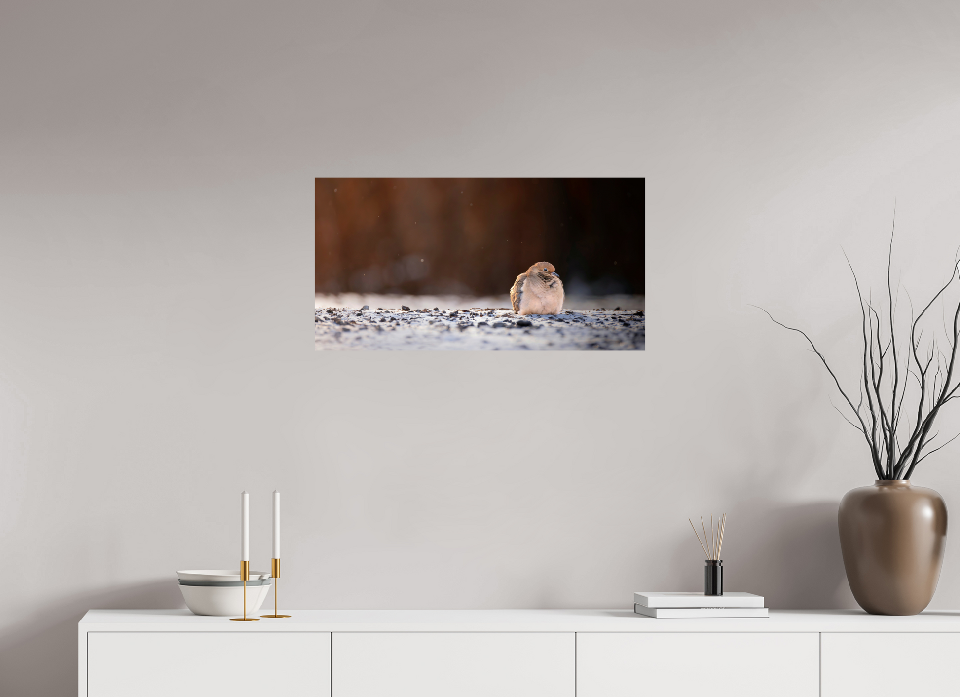 76.4 x 40 cm, Photo Print on Fuji Crystal DP II, Glossy DOVE