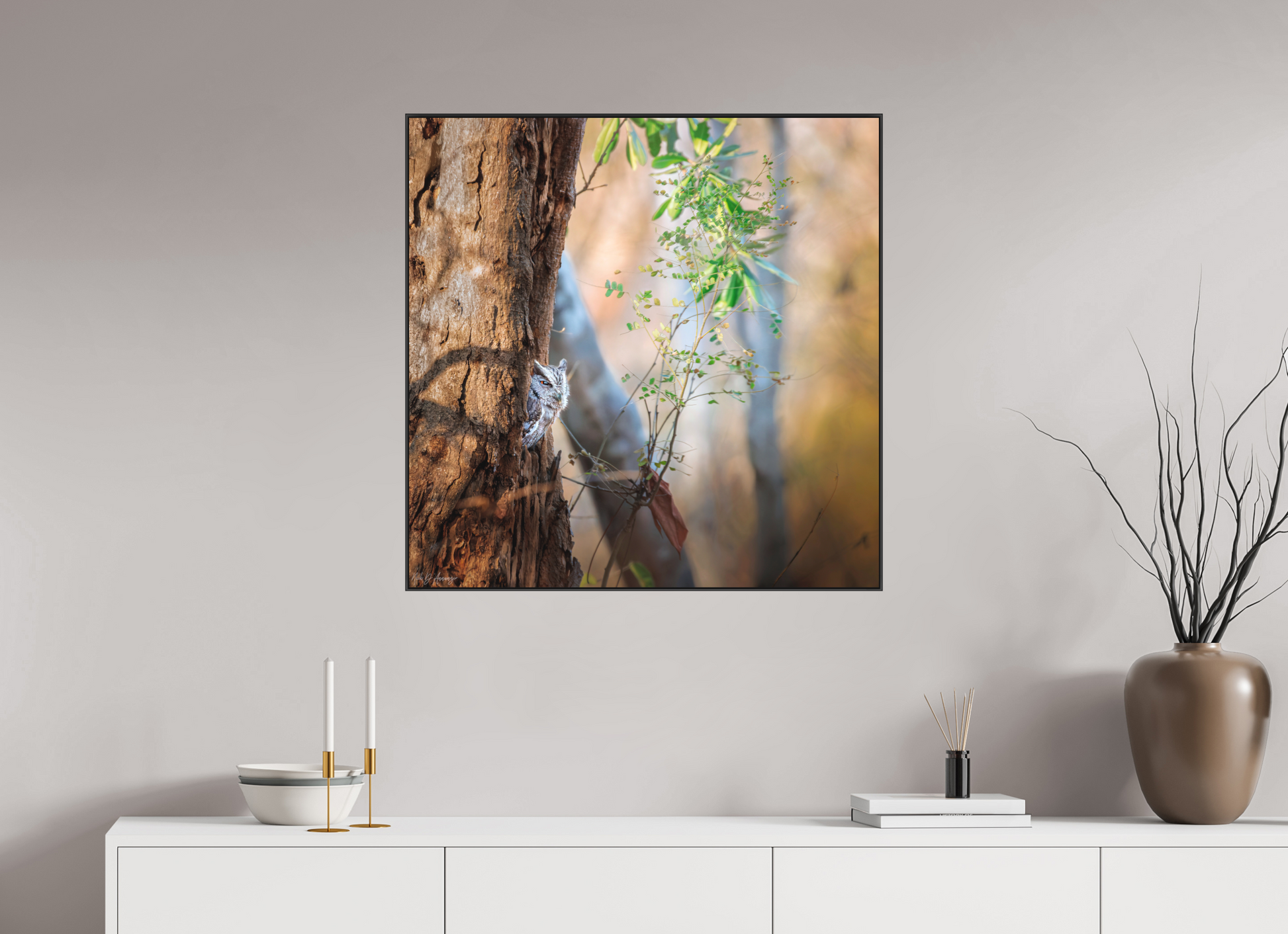 80 x 80 cm, Photo Print Under Acrylic Glass 2mm, Matte, Aluminum ArtBox, 25mm (Black) Pacific Screech | Acrylic Glass Fine Art Print