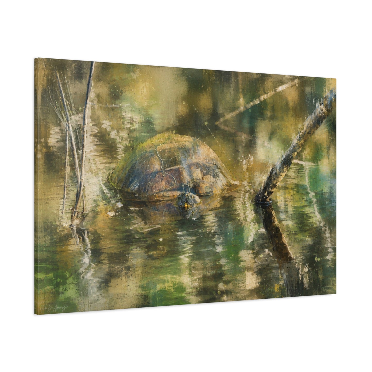 Painted Turtle Light Abstract Canvas Print
