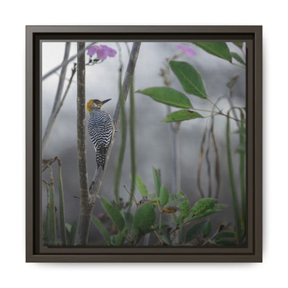 Golden Cheek | Framed Canvas