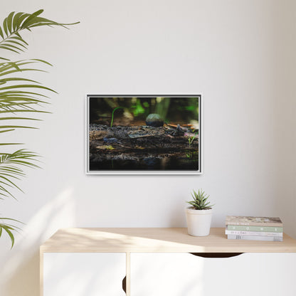 Oaxacroc | Framed Canvas