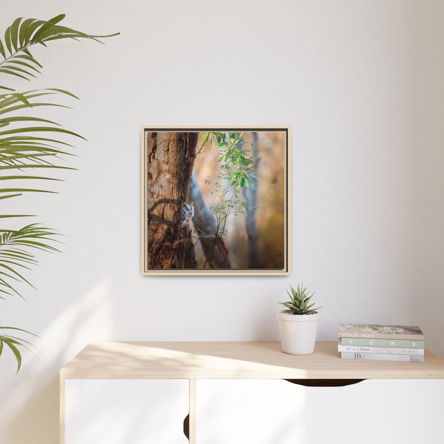 Pacific Screech | Framed Canvas