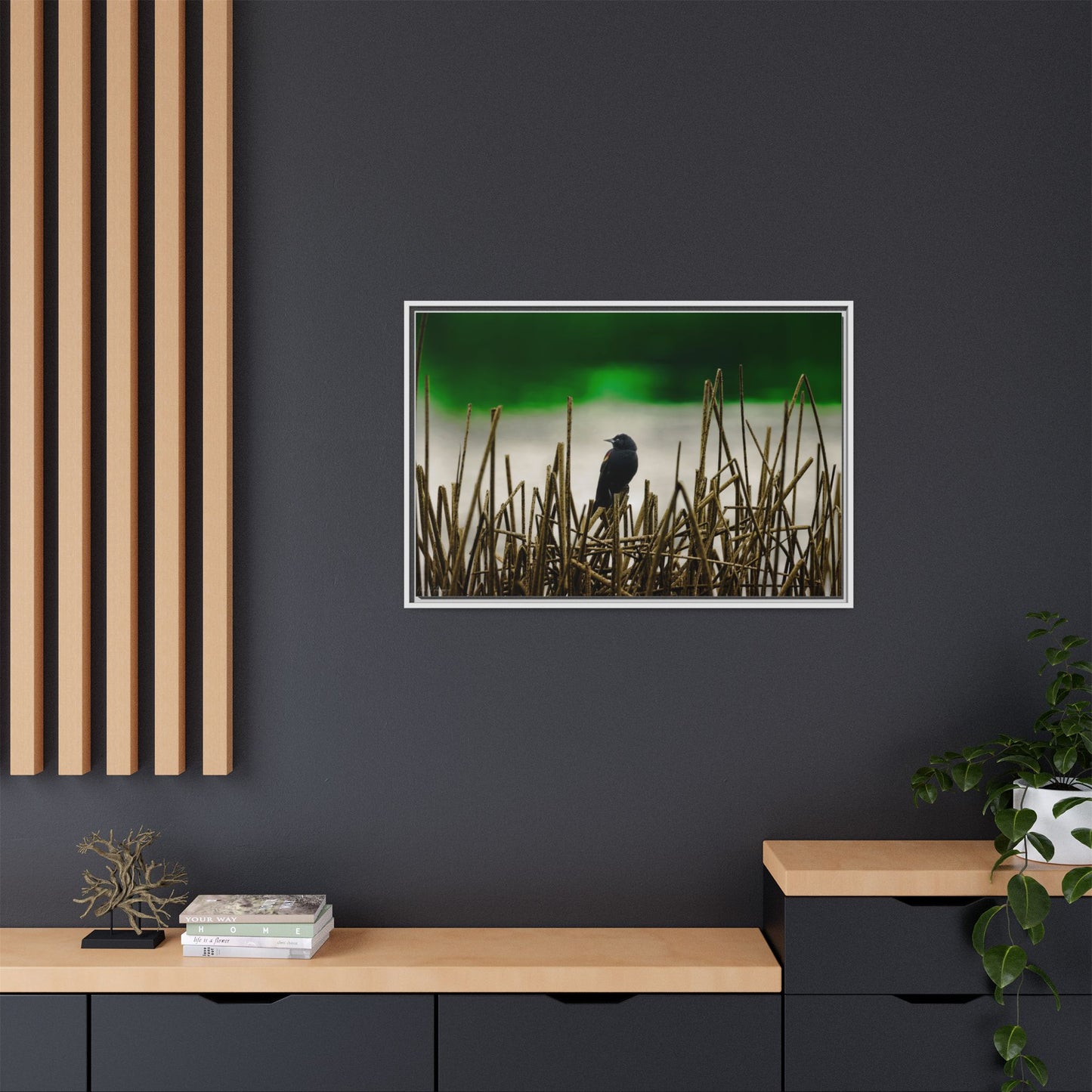 Blackbird | Framed Canvas