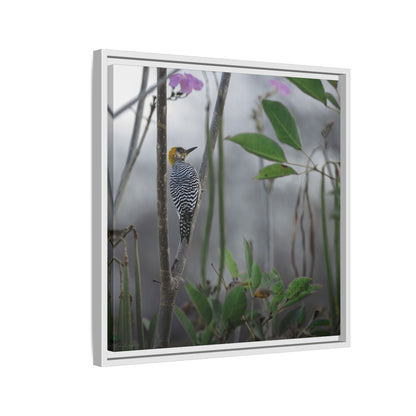 Golden Cheek | Framed Canvas