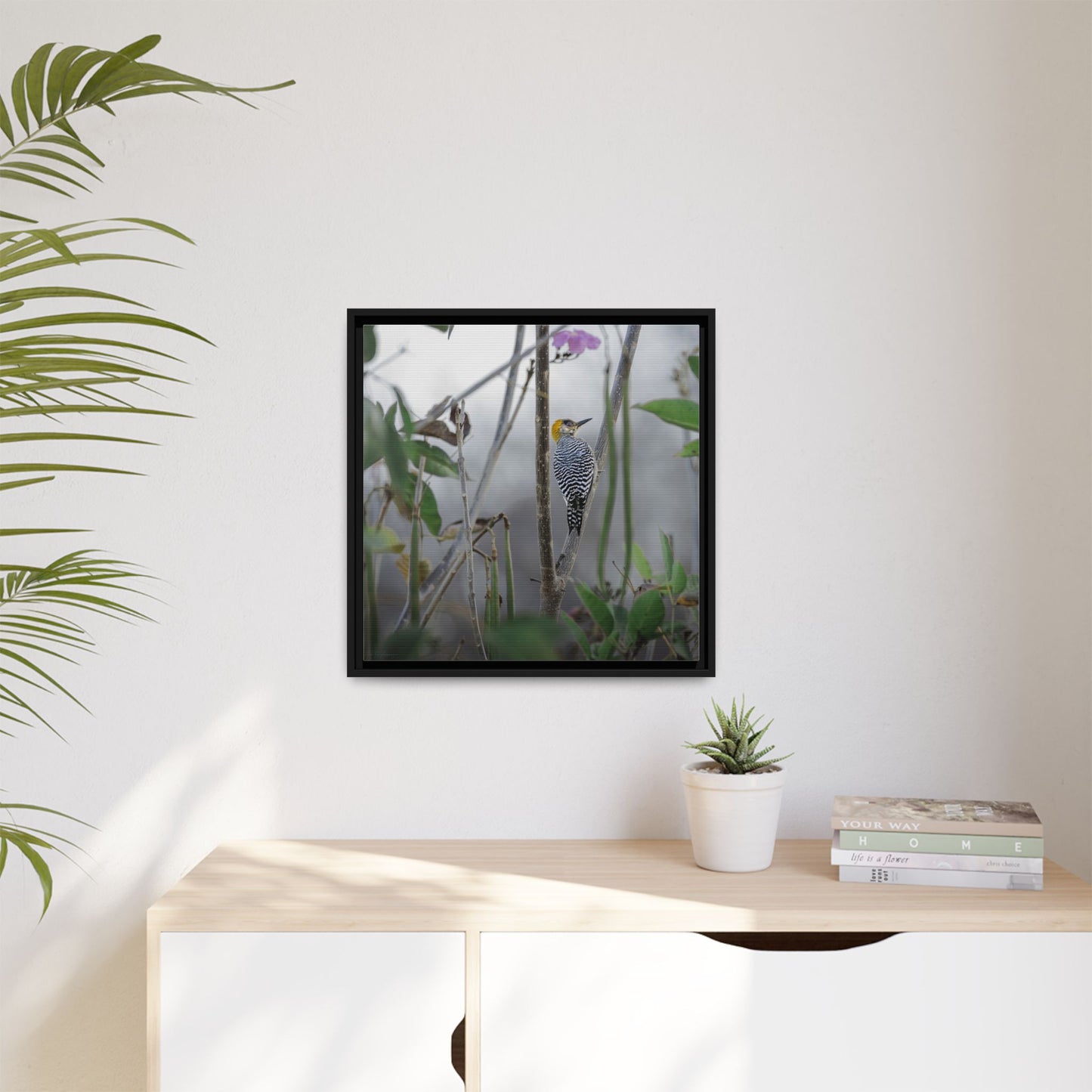 Golden-Cheeked Woodpecker II Framed Canvas Print