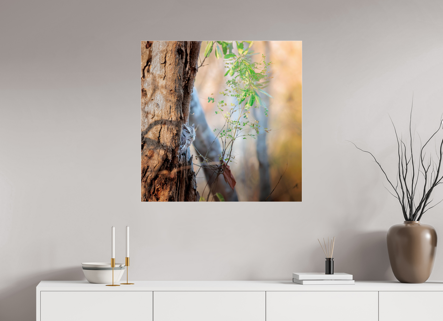 80 x 80 cm, Photo Print Under 4 mm Acrylic Glass, Glossy Pacific Screech