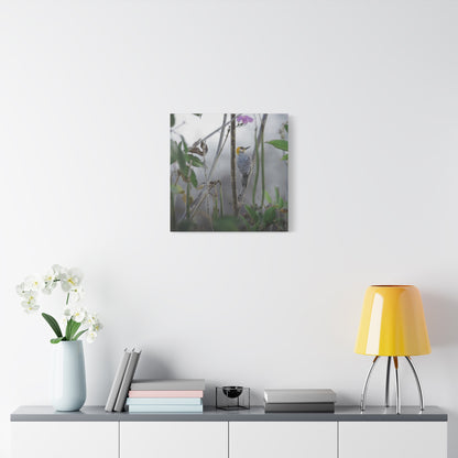 Golden-Cheeked Woodpecker | Canvas Print