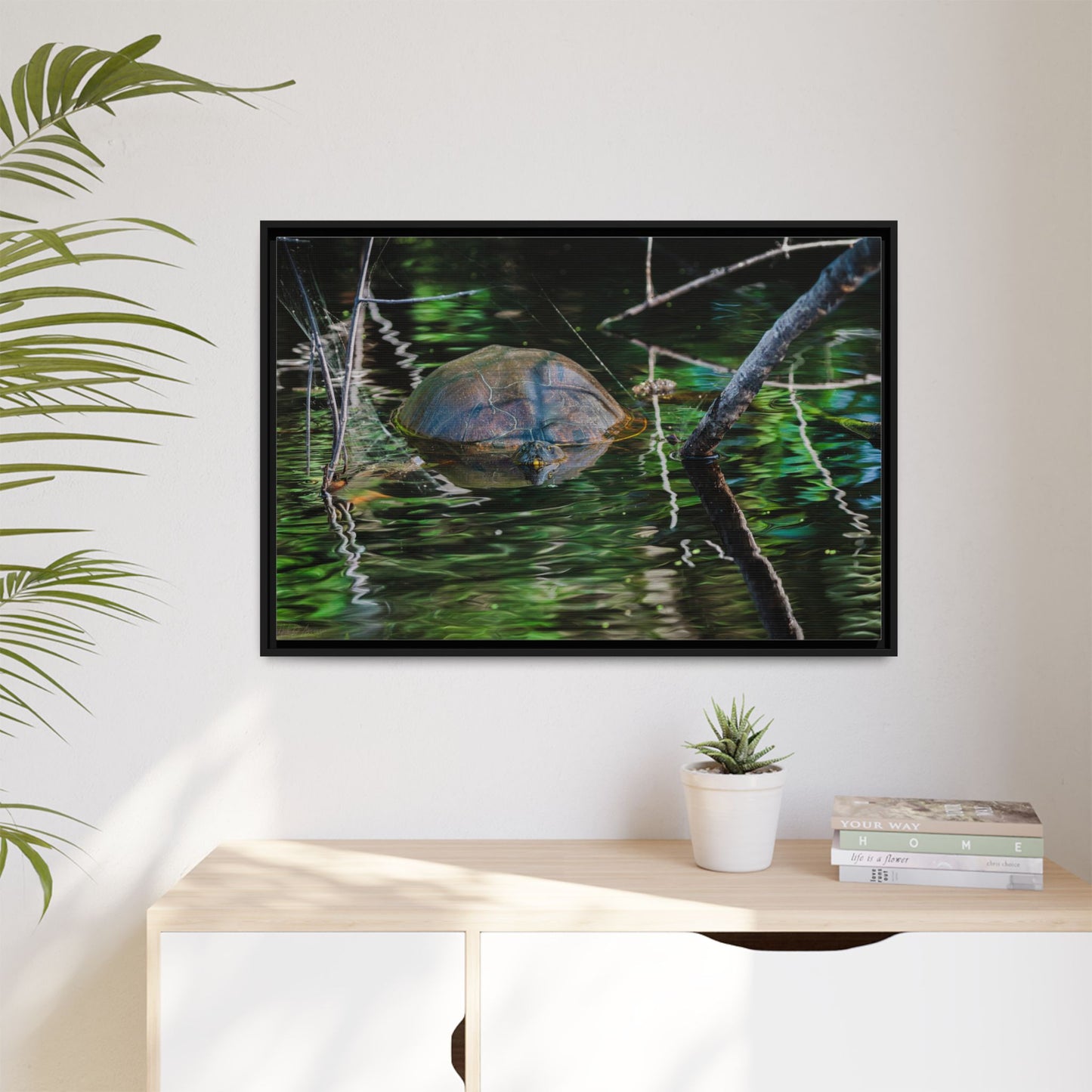 Untitled (Painted Turtle) | Framed Canvas