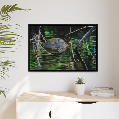 Untitled (Painted Turtle) | Framed Canvas