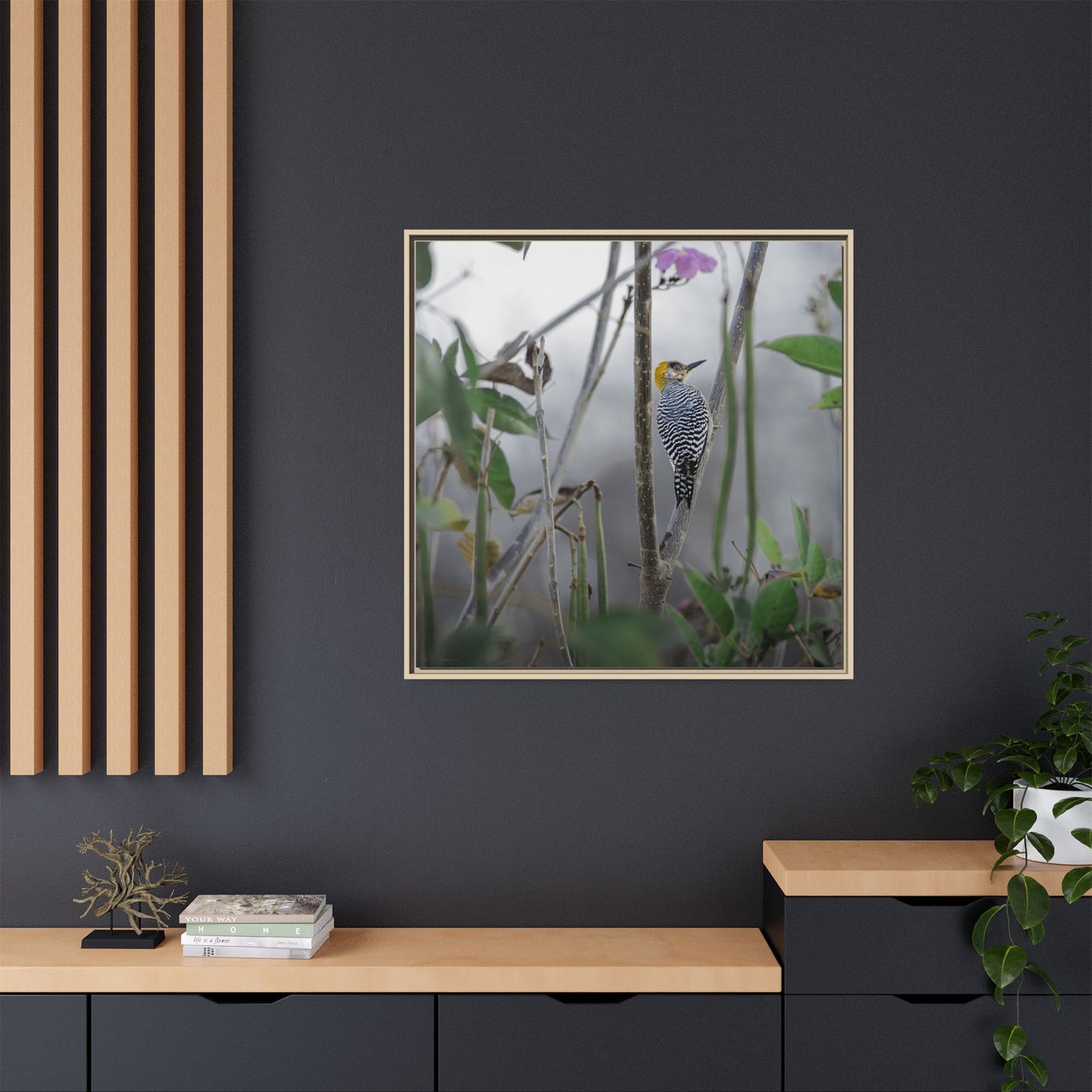 Golden-Cheeked Woodpecker II Framed Canvas Print