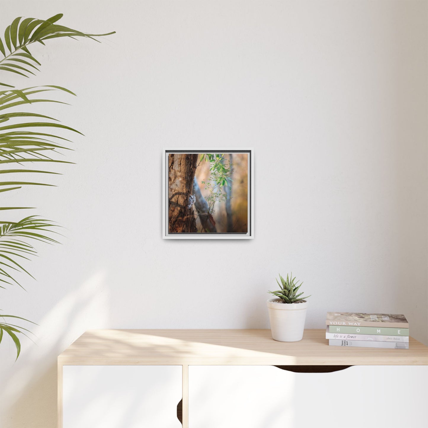 Pacific Screech | Framed Canvas