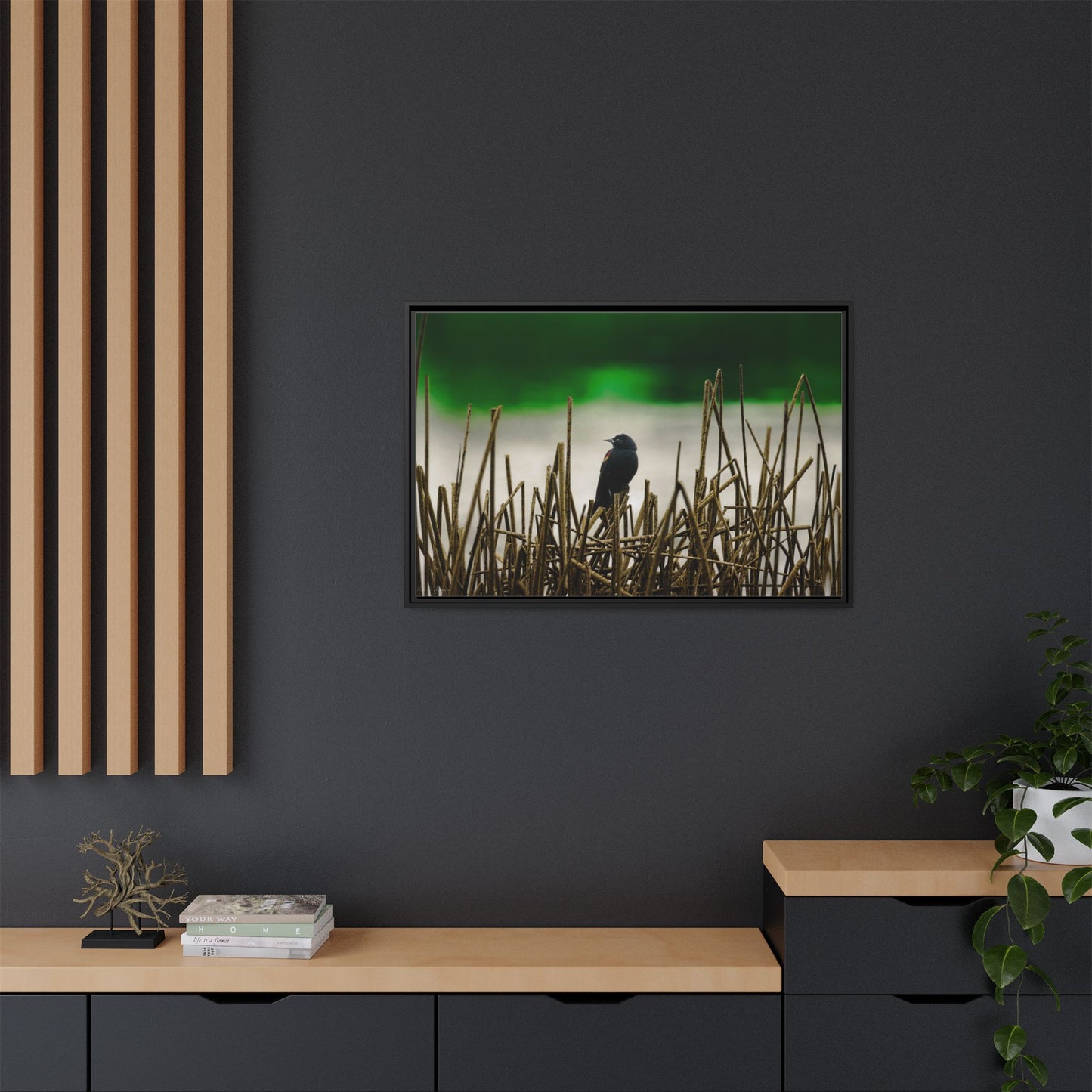 Blackbird | Framed Canvas