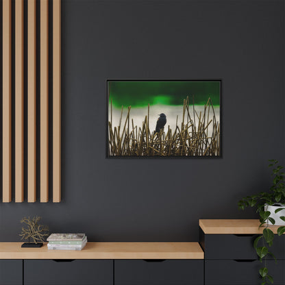 Blackbird | Framed Canvas