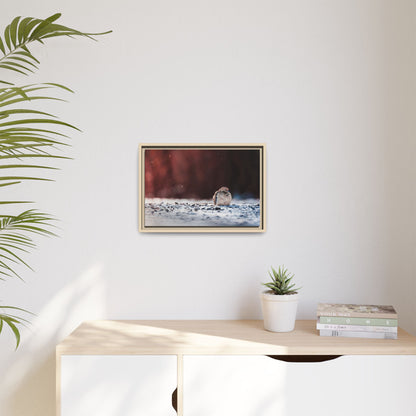 Dove | Framed Canvas