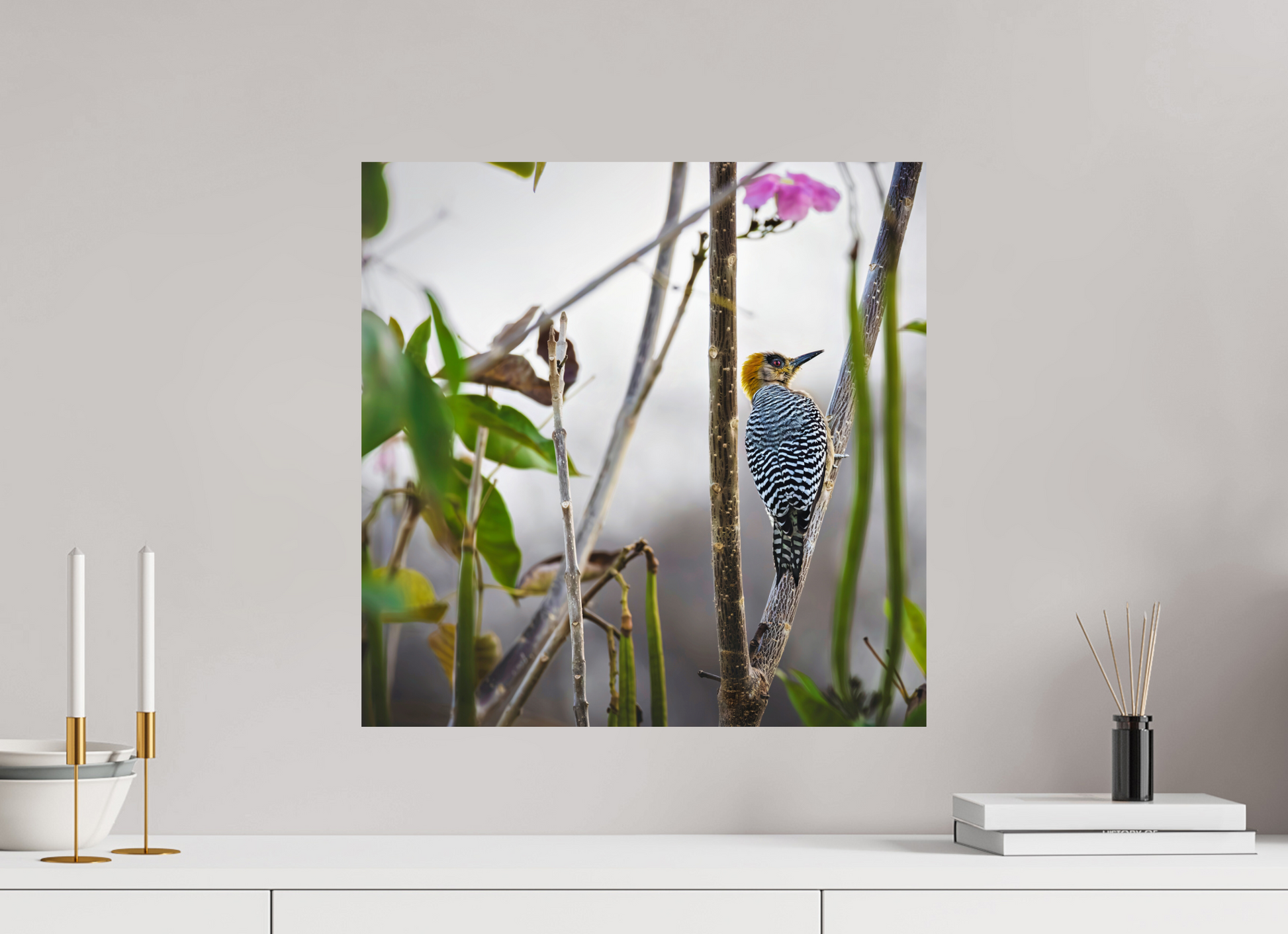 50 x 50 cm, Photo Print On Fuji Crystal DP II Golden Cheek