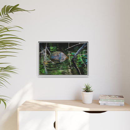 Untitled (Painted Turtle) | Framed Canvas