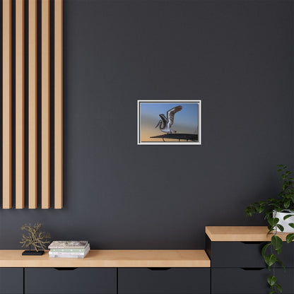 Coastal Pelican | Framed Canvas