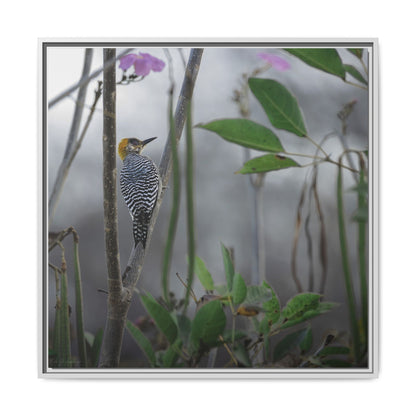 Golden Cheek | Framed Canvas