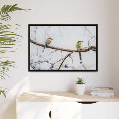 Twin Motmot | Framed Canvas