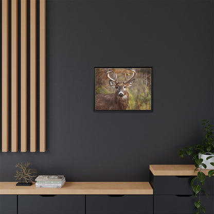 Woodland Buck | Framed Canvas