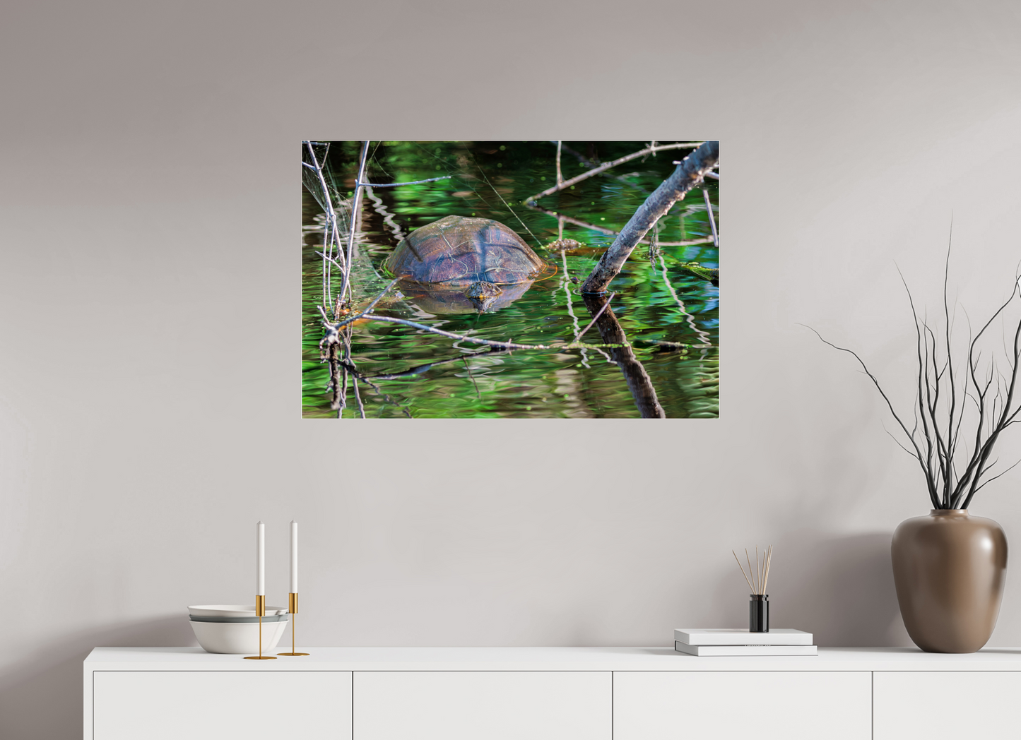 90 x 60 cm, Photo Print Under Acrylic Glass 4 mm, Glossy UNTITLED (PAINTED TURTLE)