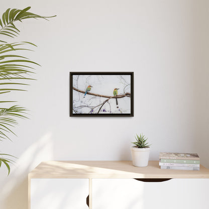 Twin Motmot | Framed Canvas