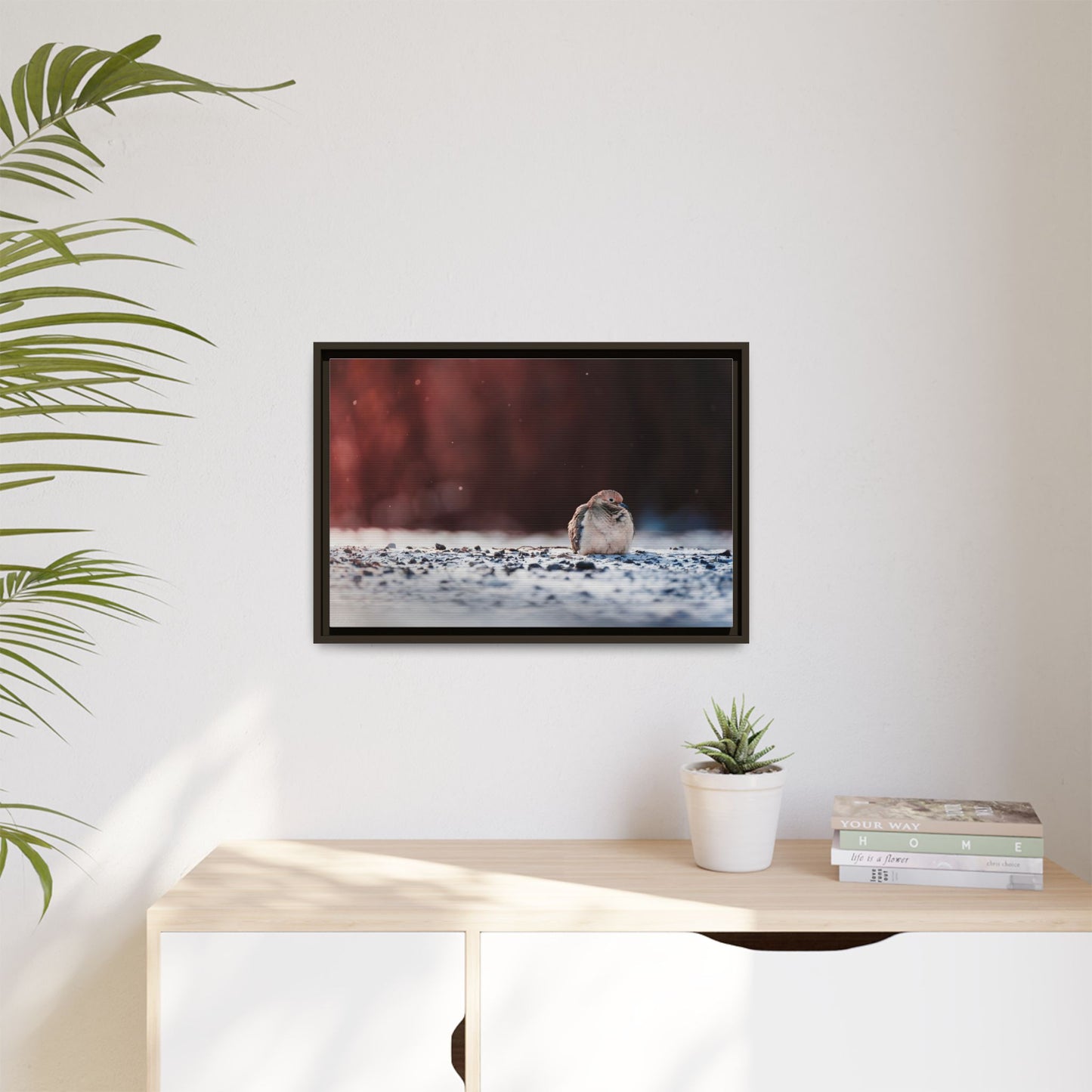 Dove | Framed Canvas