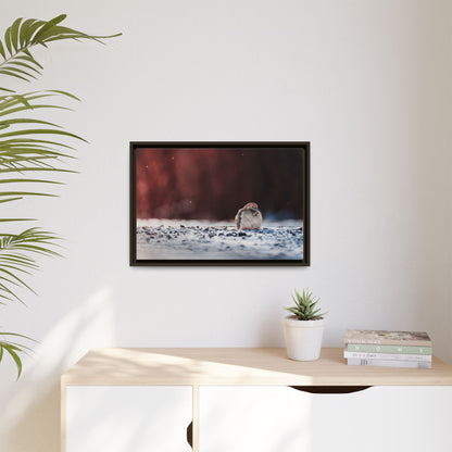 Dove | Framed Canvas