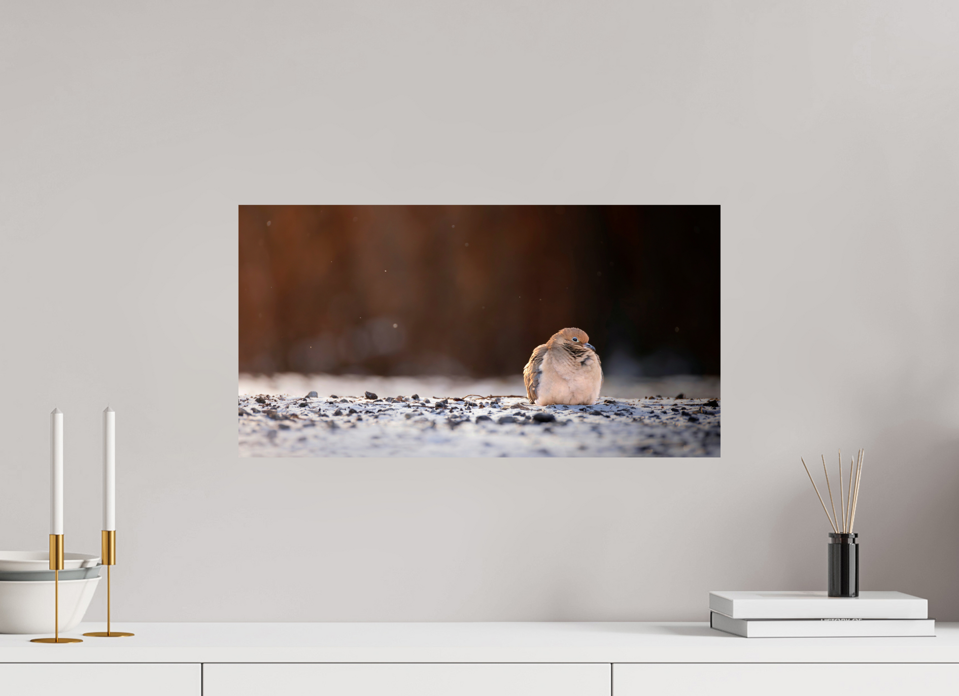 57.3 x 30 cm, Photo Print On Fuji Crystal DP II, Glossy DOVE