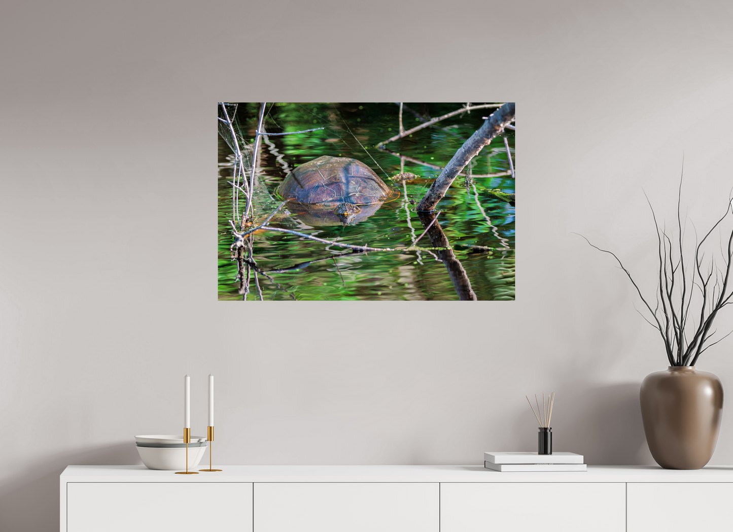 90 x 60 cm, Photo Print On Fuji Crystal DP II, Glossy UNTITLED (PAINTED TURTLE)