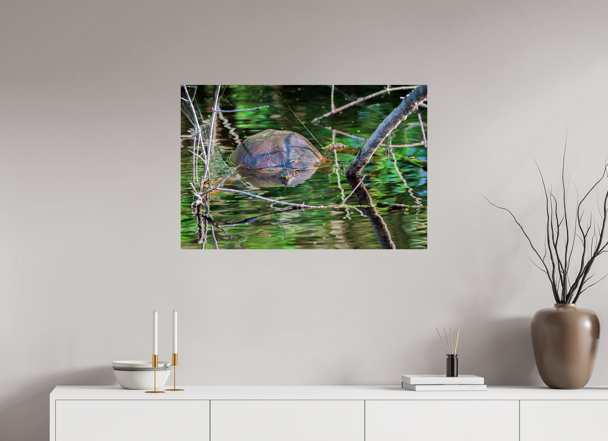 90 x 60 cm, Photo Print On Fuji Crystal DP II, Glossy UNTITLED (PAINTED TURTLE)