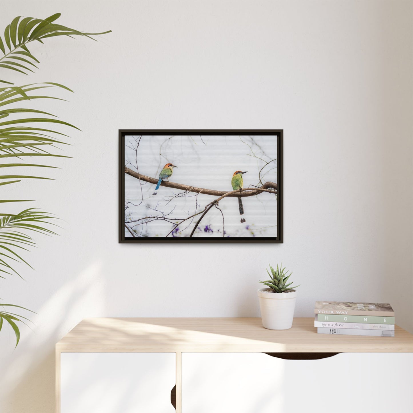 Twin Motmot | Framed Canvas
