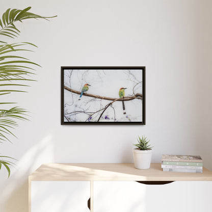 Twin Motmot | Framed Canvas