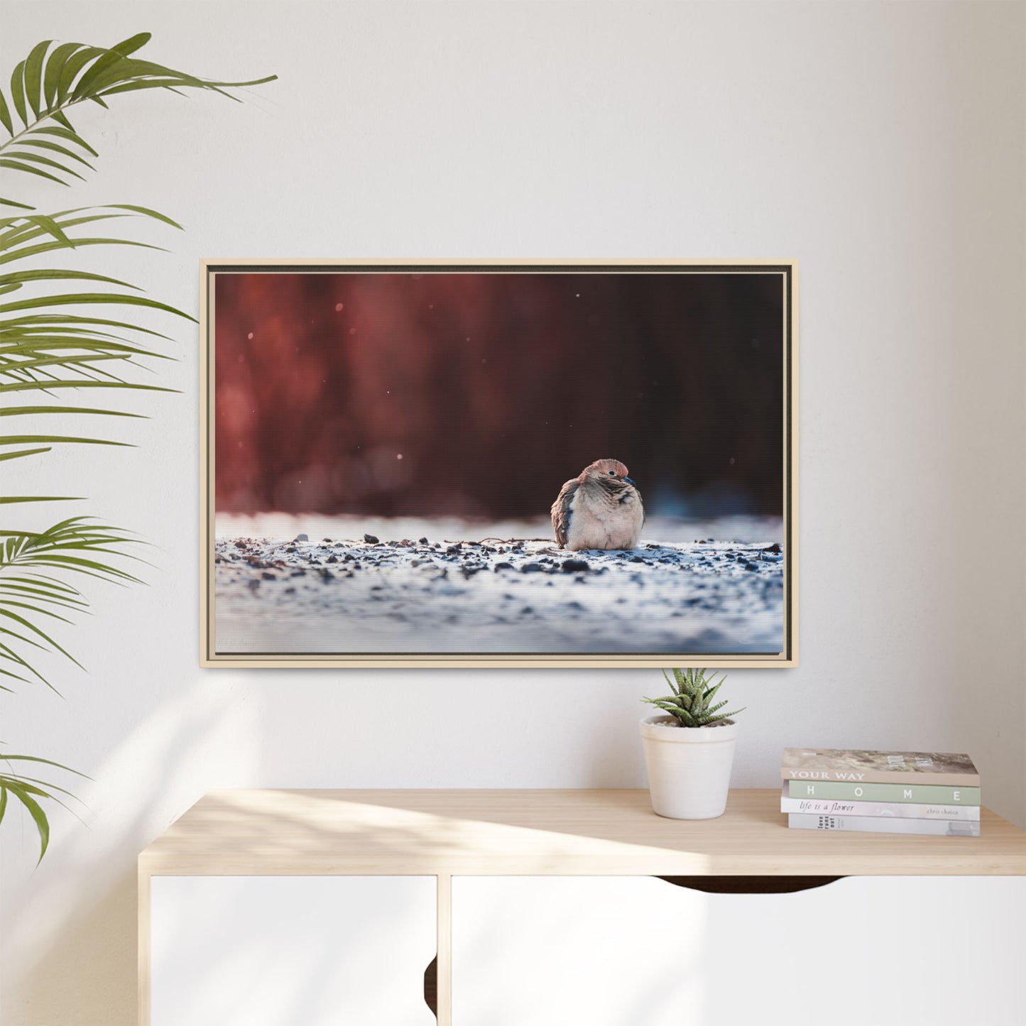 Dove | Framed Canvas