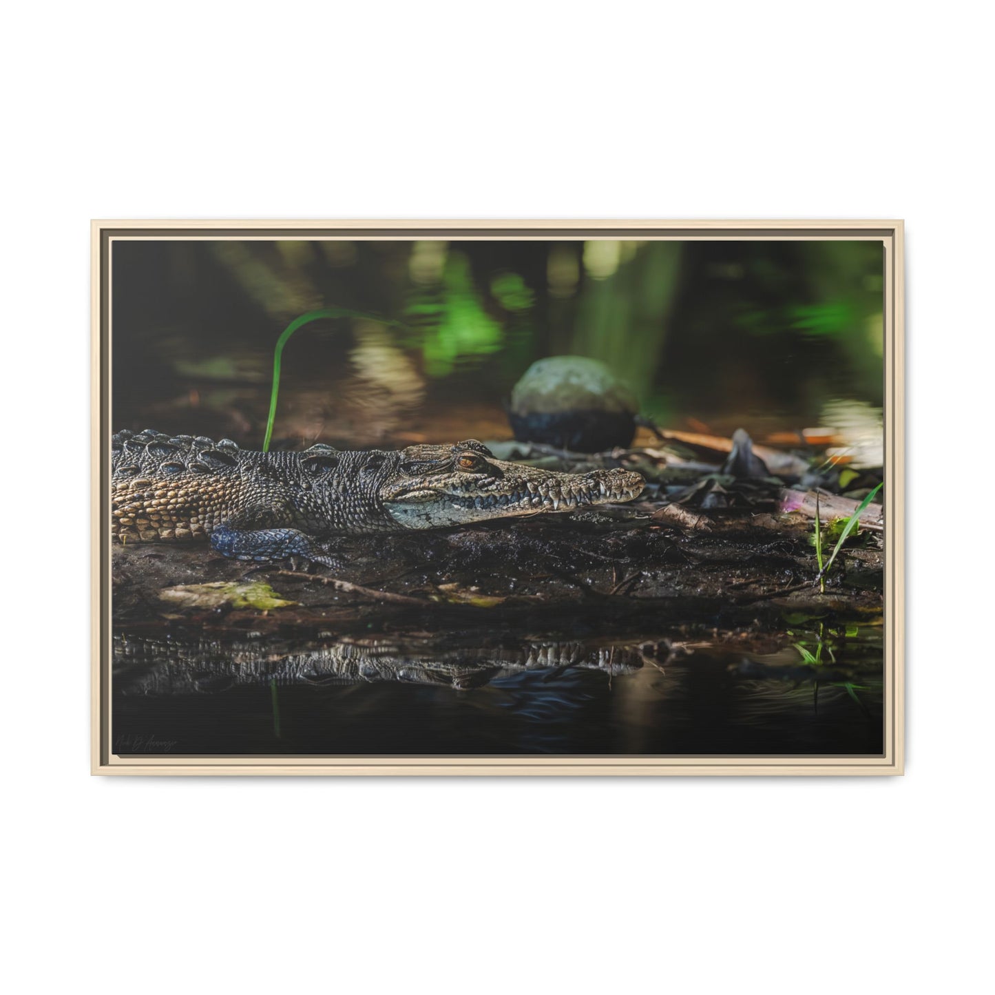Oaxacroc | Framed Canvas