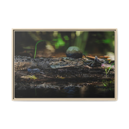 Oaxacroc | Framed Canvas